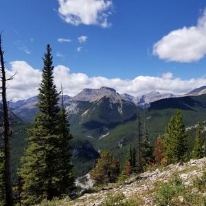 Meet your Posher, Alisa